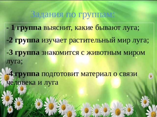 Задания по группам: - 1 группа выяснит, какие бывают луга; 2 группа изучает растительный мир луга; 3 группа знакомится с животным миром луга; 4 группа подготовит материал о связи человека и луга 
