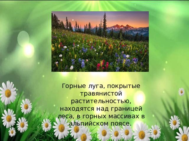 Г орные луга, покрытые травянистой растительностью, находятся над границей леса, в горных массивах в альпийском поясе. 