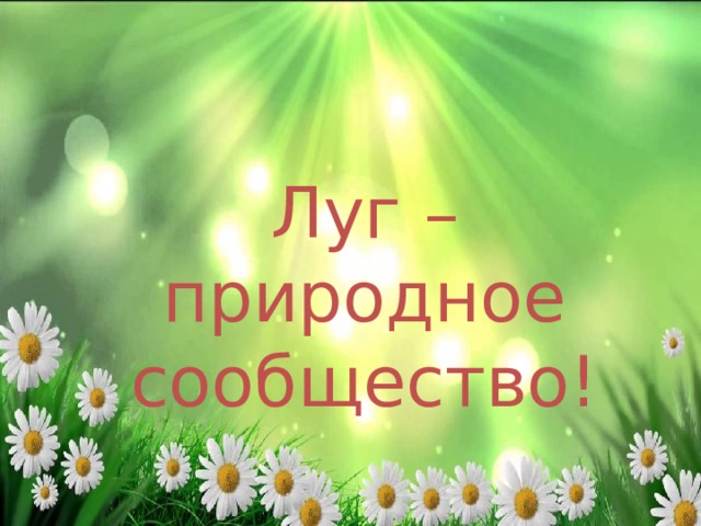 Луг – природное сообщество! 