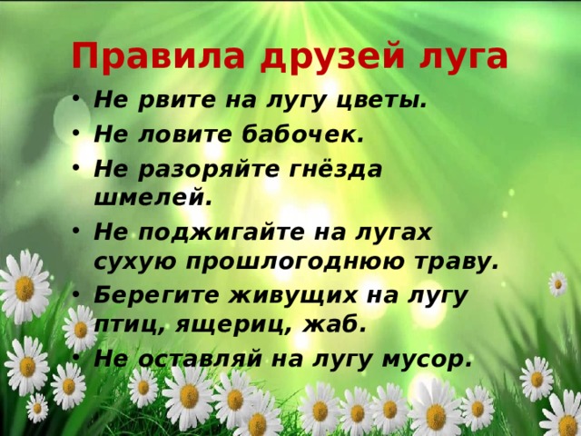 Правила друзей луга Не рвите на лугу цветы. Не ловите бабочек. Не разоряйте гнёзда шмелей. Не поджигайте на лугах сухую прошлогоднюю траву. Берегите живущих на лугу птиц, ящериц, жаб. Не оставляй на лугу мусор.  