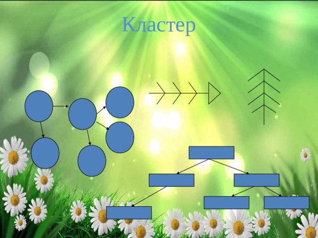Кластер   