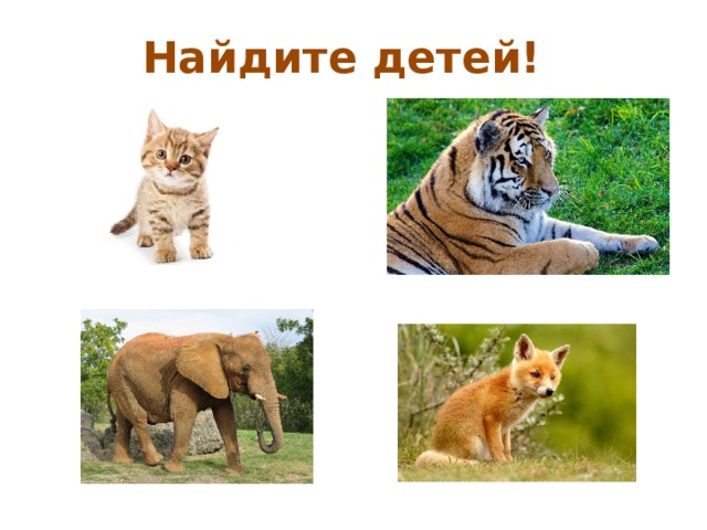Найдите детей! 