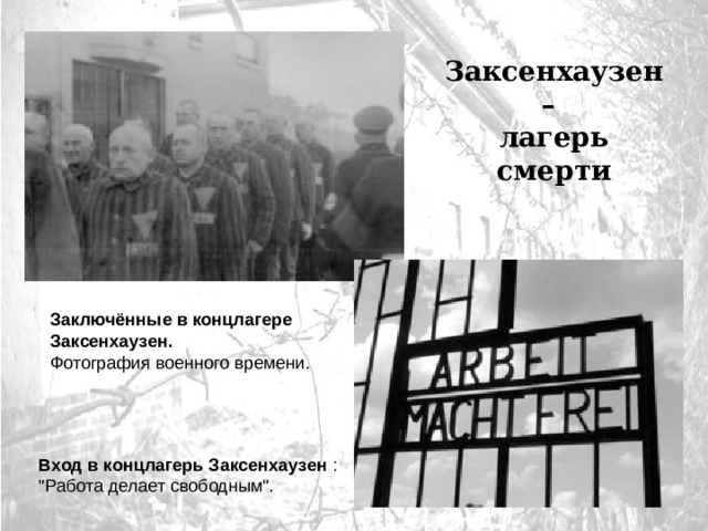 Заксенхаузен – лагерь смерти Заключённые в концлагере  Заксенхаузен.   Фотография военного времени. Вход в концлагерь Заксенхаузен : 
