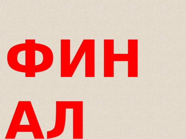 ФИНАЛ 
