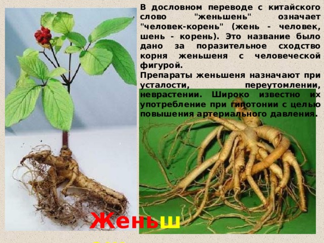 В дословном переводе с китайского слово 