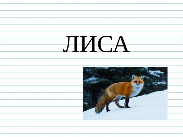 К А ПУСТА 