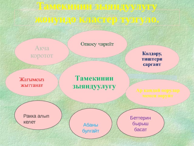Тамекинин зыяндуулугу жонундо кластер тузгуло. Ракка алып келет Абаны булгайт Беттерин бырыш басат 