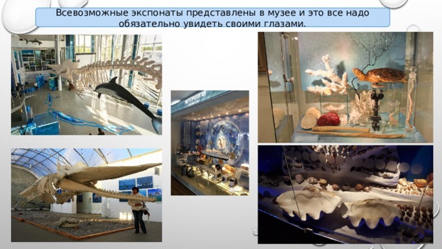 Всевозможные экспонаты представлены в музее и это все надо обязательно увидеть своими глазами. 