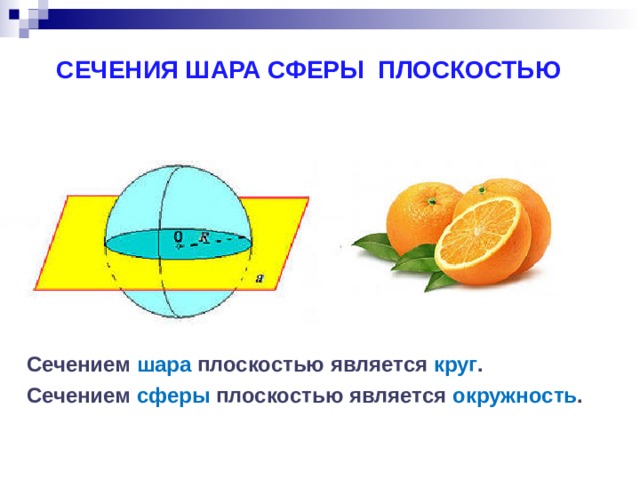 СЕЧЕНИЯ ШАРА СФЕРЫ ПЛОСКОСТЬЮ Сечением шара плоскостью является круг . Сечением сферы плоскостью является окружность . 
