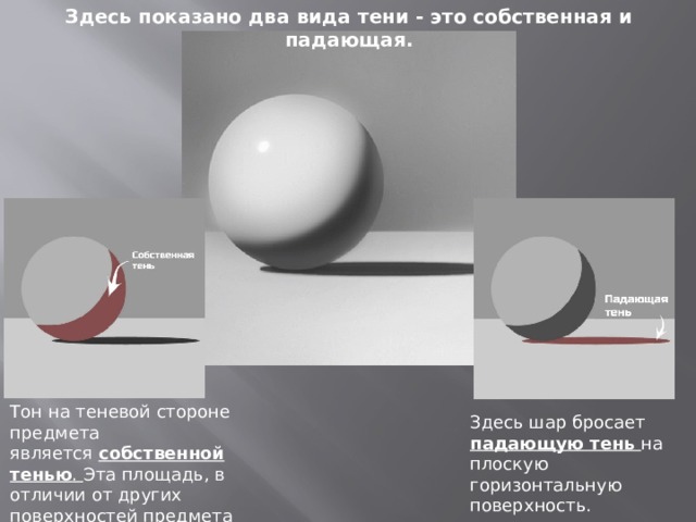 Здесь показано два вида тени - это собственная и падающая. Тон на теневой стороне предмета является  собственной тенью . Эта площадь, в отличии от других поверхностей предмета скрыта от источника света. Здесь шар бросает падающую тень на плоскую горизонтальную поверхность. 