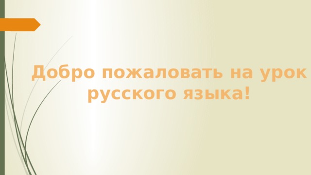 Добро пожаловать на урок русского языка! 