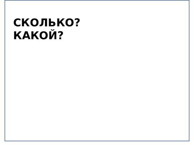 СКОЛЬКО?  КАКОЙ? 