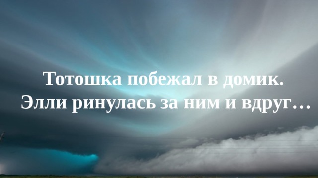 Тотошка побежал в домик. Элли ринулась за ним и вдруг… 