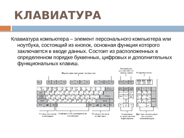 КЛАВИАТУРА Клавиатура компьютера – элемент персонального компьютера или ноутбука, состоящий из кнопок, основная функция которого заключается в вводе данных. Состоит из расположенных в определенном порядке буквенных, цифровых и дополнительных функциональных клавиш. 