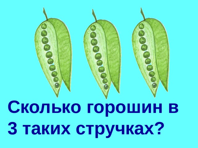 Сколько горошин в 3 таких стручках? 