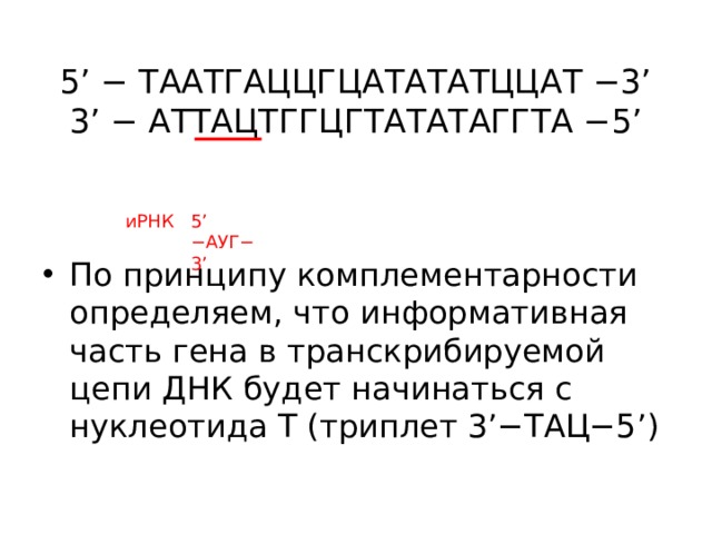 5’ − ТААТГАЦЦГЦАТАТАТЦЦАТ −3’  3’ − АТТАЦТГГЦГТАТАТАГГТА −5’   5’ −АУГ− 3’ иРНК По принципу комплементарности определяем, что информативная часть гена в транскрибируемой цепи ДНК будет начинаться с нуклеотида Т (триплет 3’−ТАЦ−5’) 