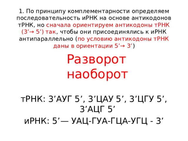 1. По принципу комплементарности определяем последовательность иРНК на основе антикодонов тРНК, но сначала ориентируем антикодоны тРНК (3’→ 5’) так , чтобы они присоединялись к иРНК антипараллельно ( по условию антикодоны тРНК даны в ориентации 5’→ 3’ )   Разворот наоборот   тРНК: 3’АУГ 5’, 3’ЦАУ 5’, 3’ЦГУ 5’, 3’АЦГ 5’ иРНК: 5’— УАЦ-ГУА-ГЦА-УГЦ - 3’ 