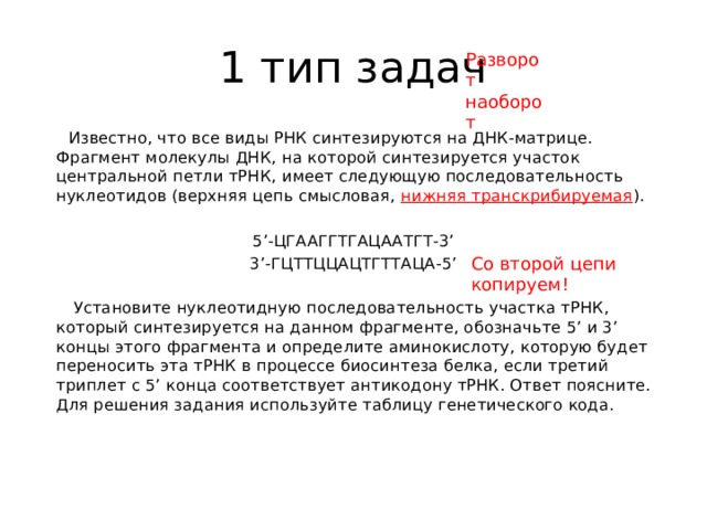 1 тип задач Разворот наоборот  Известно, что все виды РНК синтезируются на ДНК-матрице. Фрагмент молекулы ДНК, на которой синтезируется участок центральной петли тРНК, имеет следующую последовательность нуклеотидов (верхняя цепь смысловая, нижняя транскрибируемая ).   5’-ЦГААГГТГАЦААТГТ-3’ 3’-ГЦТТЦЦАЦТГТТАЦА-5’    Установите нуклеотидную последовательность участка тРНК, который синтезируется на данном фрагменте, обозначьте 5’ и 3’ концы этого фрагмента и определите аминокислоту, которую будет переносить эта тРНК в процессе биосинтеза белка, если третий триплет с 5’ конца соответствует антикодону тРНК. Ответ поясните. Для решения задания используйте таблицу генетического кода.   Со второй цепи копируем! 