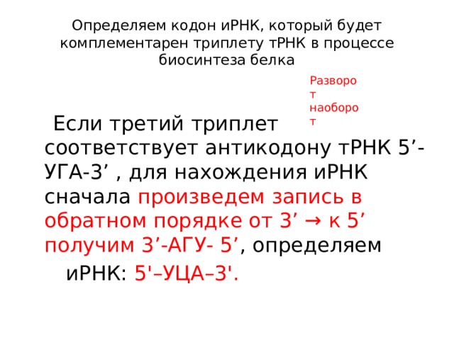 Определяем кодон иРНК, который будет комплементарен триплету тРНК в процессе биосинтеза белка Разворот наоборот  Если третий триплет соответствует антикодону тРНК 5’- УГА-3’ , для нахождения иРНК сначала произведем запись в обратном порядке от 3’ → к 5’ получим 3’-АГУ- 5’ , определяем  иРНК: 5'–УЦА–3'. 