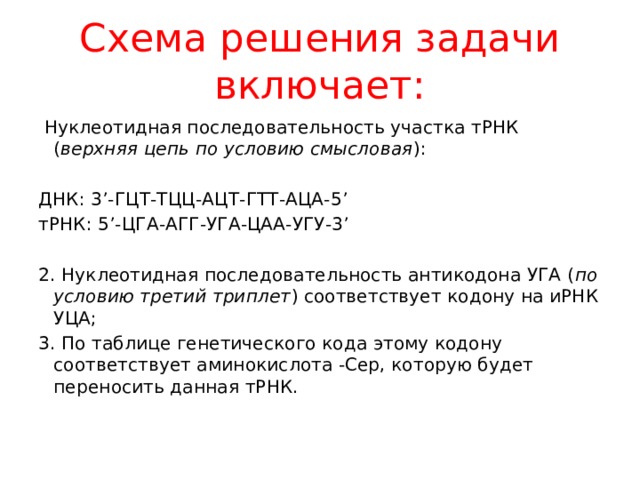 Схема решения задачи включает:   Нуклеотидная последовательность участка тРНК ( верхняя цепь по условию смысловая ):   ДНК: 3’-ГЦТ-ТЦЦ-АЦТ-ГТТ-АЦА-5’ тРНК: 5’-ЦГА-АГГ-УГА-ЦАА-УГУ-3’   2. Нуклеотидная последовательность антикодона УГА ( по условию третий триплет ) соответствует кодону на иРНК УЦА; 3. По таблице генетического кода этому кодону соответствует аминокислота -Сер, которую будет переносить данная тРНК.   