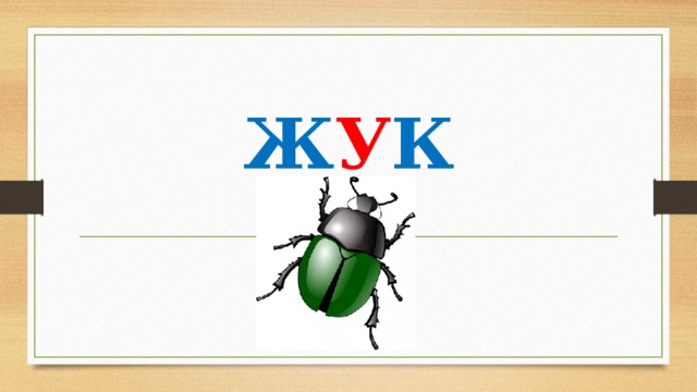Ж У К 
