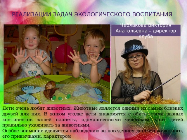 реализации задач экологического воспитания Чеблакова Виктория Анатольевна – директор клуба Дети очень любят животных. Животные является одними из самых близких друзей для них. В живом уголке дети знакомятся с обитателями разных континентов нашей планеты, одомашненными человеком, учит детей правильно ухаживать за животными. Особое внимание уделяется наблюдению за поведением данного животного, его привычками, характером  