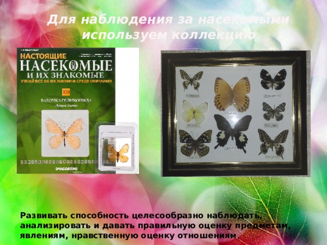 Для наблюдения за насекомыми используем коллекцию Развивать способность целесообразно наблюдать, анализировать и давать правильную оценку предметам, явлениям, нравственную оценку отношениям , 