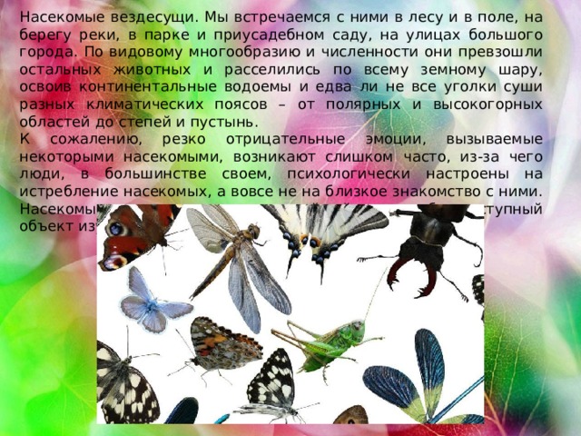 Насекомые вездесущи. Мы встречаемся с ними в лесу и в поле, на берегу реки, в парке и приусадебном саду, на улицах большого города. По видовому многообразию и численности они превзошли остальных животных и расселились по всему земному шару, освоив континентальные водоемы и едва ли не все уголки суши разных климатических поясов – от полярных и высокогорных областей до степей и пустынь. К сожалению, резко отрицательные эмоции, вызываемые некоторыми насекомыми, возникают слишком часто, из-за чего люди, в большинстве своем, психологически настроены на истребление насекомых, а вовсе не на близкое знакомство с ними. Насекомые – не только интереснейший, но и общедоступный объект изучения 