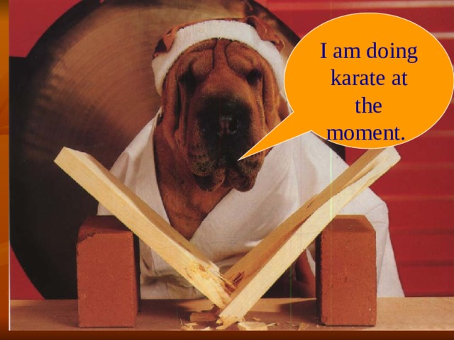 I am doing karate at the moment. 