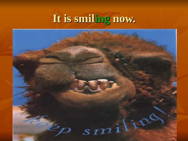 It is smil ing now. 