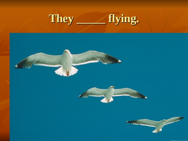 They _____ flying. 