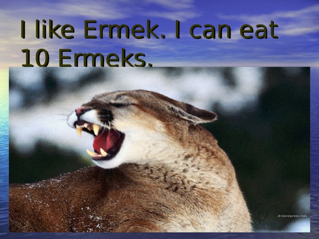 I like Ermek. I can eat 10 Ermeks. 