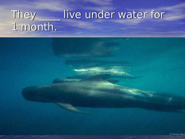 They ____ live under water for 1 month. 