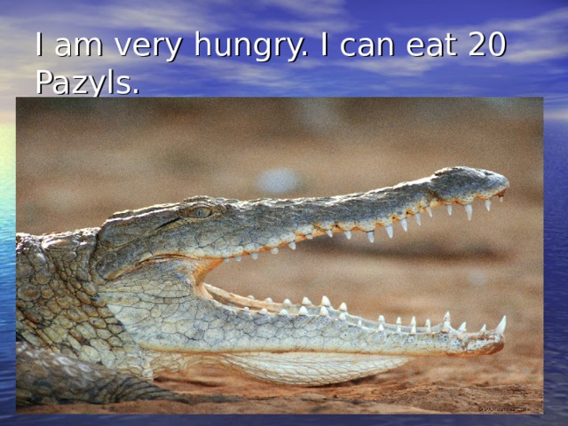 I am very hungry. I can eat 20 Pazyls. 