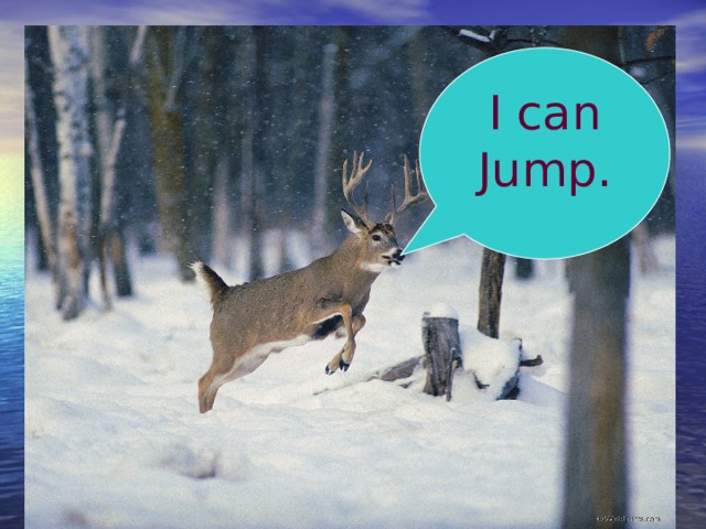 I can Jump. 