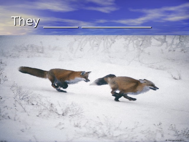 They ______ ____________ 