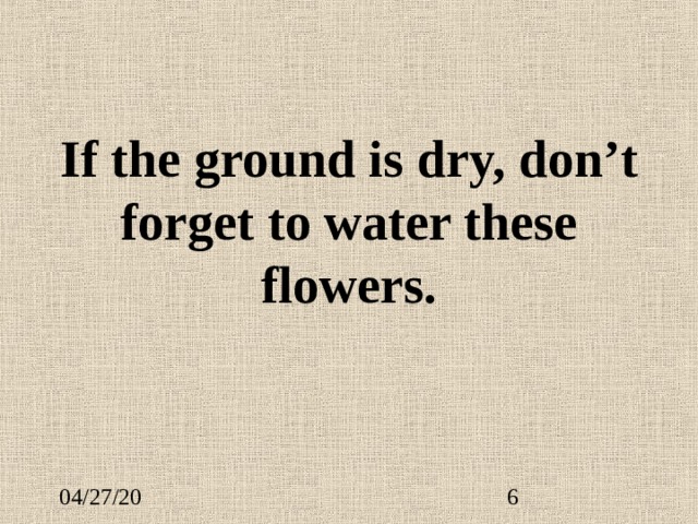 If the ground is dry, don’t forget to water these flowers. 
