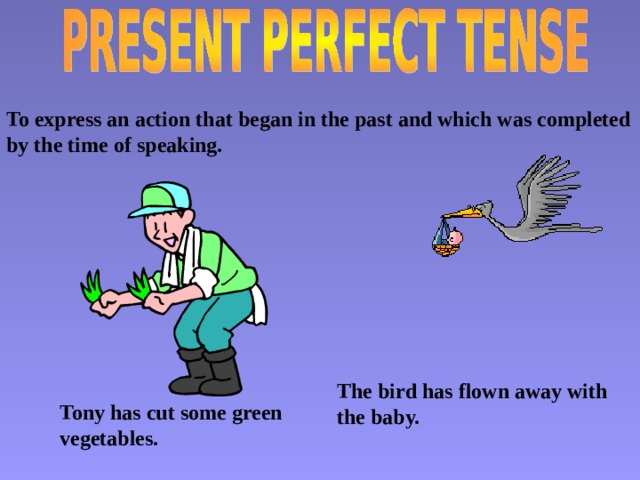 To express an action that began in the past and which was completed by the time of speaking. The bird has flown away with the baby. Tony has cut some green vegetables. 