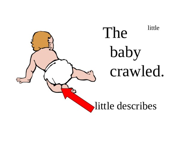 The little baby crawled. little describes 