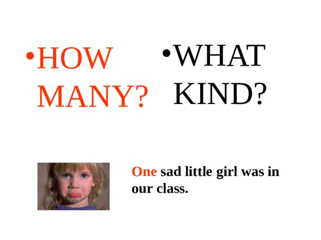 WHAT KIND? HOW MANY? One sad little girl was in our class. One sad little girl was in our class. 