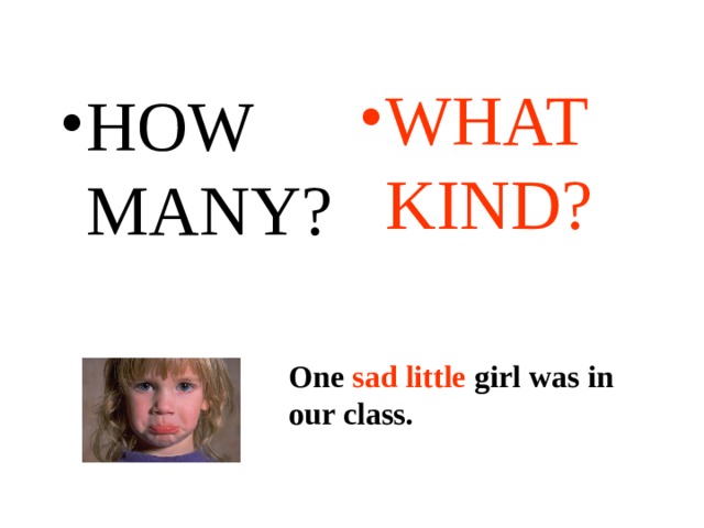 WHAT KIND? HOW MANY? One sad little girl was in our class. One sad little girl was in our class. 