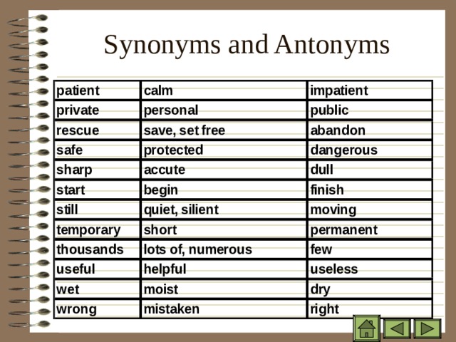 Synonyms and Antonyms 