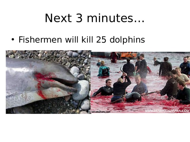 Next 3 minutes… Fishermen will kill 25 dolphins 