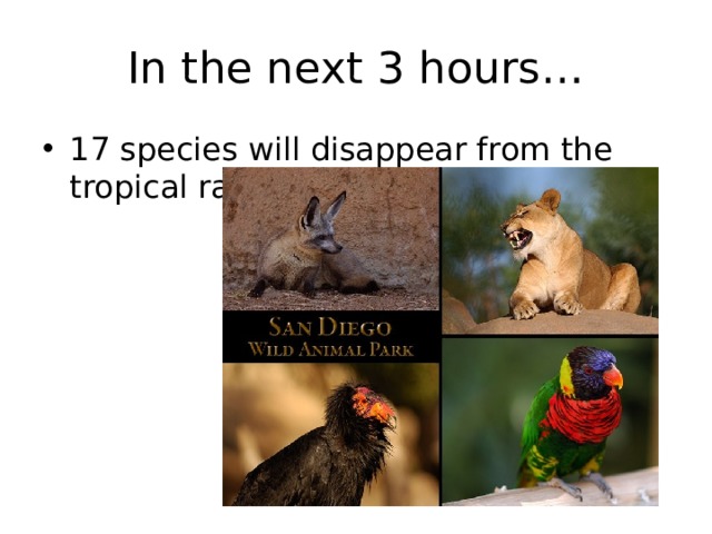In the next 3 hours… 17 species will disappear from the tropical rainforest… 