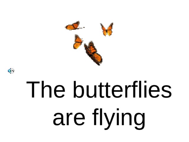 The butterflies are flying 