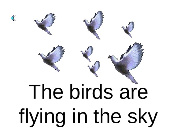 The birds are flying in the sky 