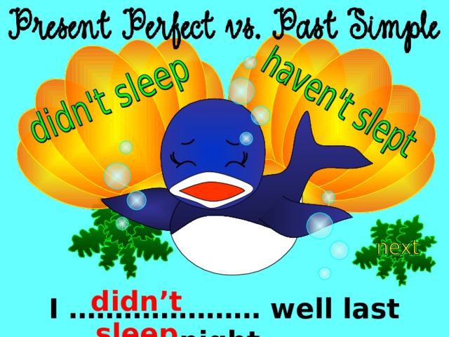 didn’t sleep I ………………… well last night. 