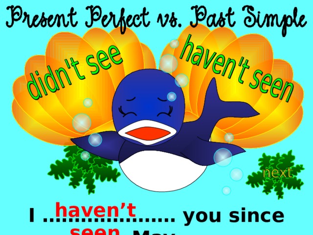 haven’t seen I ………………… you since May. 