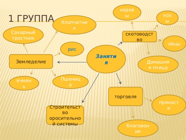 коровы 1 группа козы Хлопчатник Сахарный тростник скотоводство овцы рис Занятия Земледелие Домашняя птица Пшеница ячмень торговля пряности Строительство оросительной системы благовония 