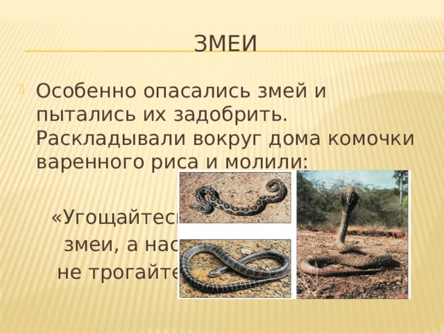 Змеи Особенно опасались змей и пытались их задобрить. Раскладывали вокруг дома комочки варенного риса и молили:  «Угощайтесь,  змеи, а нас  не трогайте» 